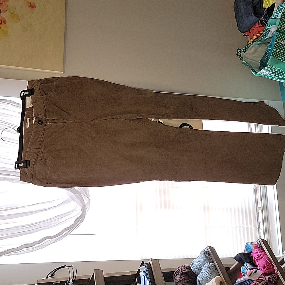 LIZ CLAIBORNE PETITE CORDS 10P